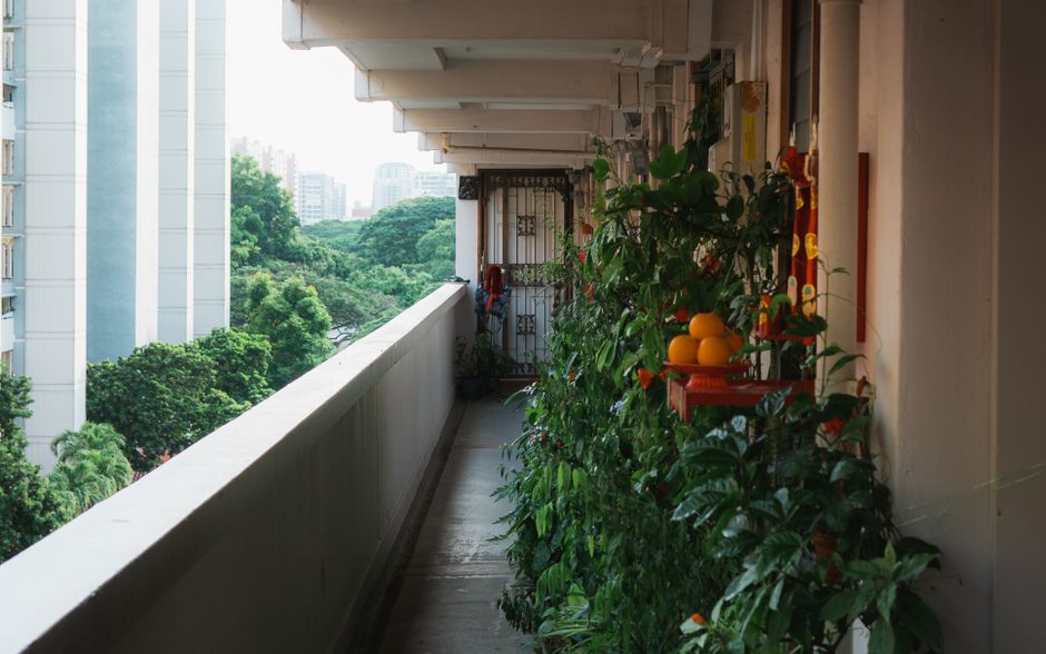 Balcony Greenhouses: What Actually Works in the UK
