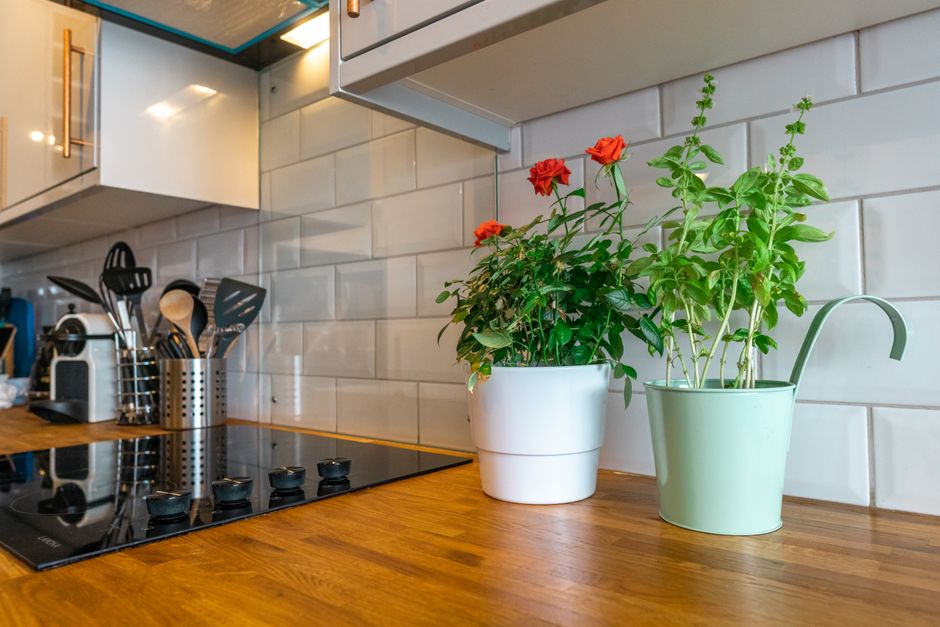 Countertop smart garden growing fresh herbs in a kitchen